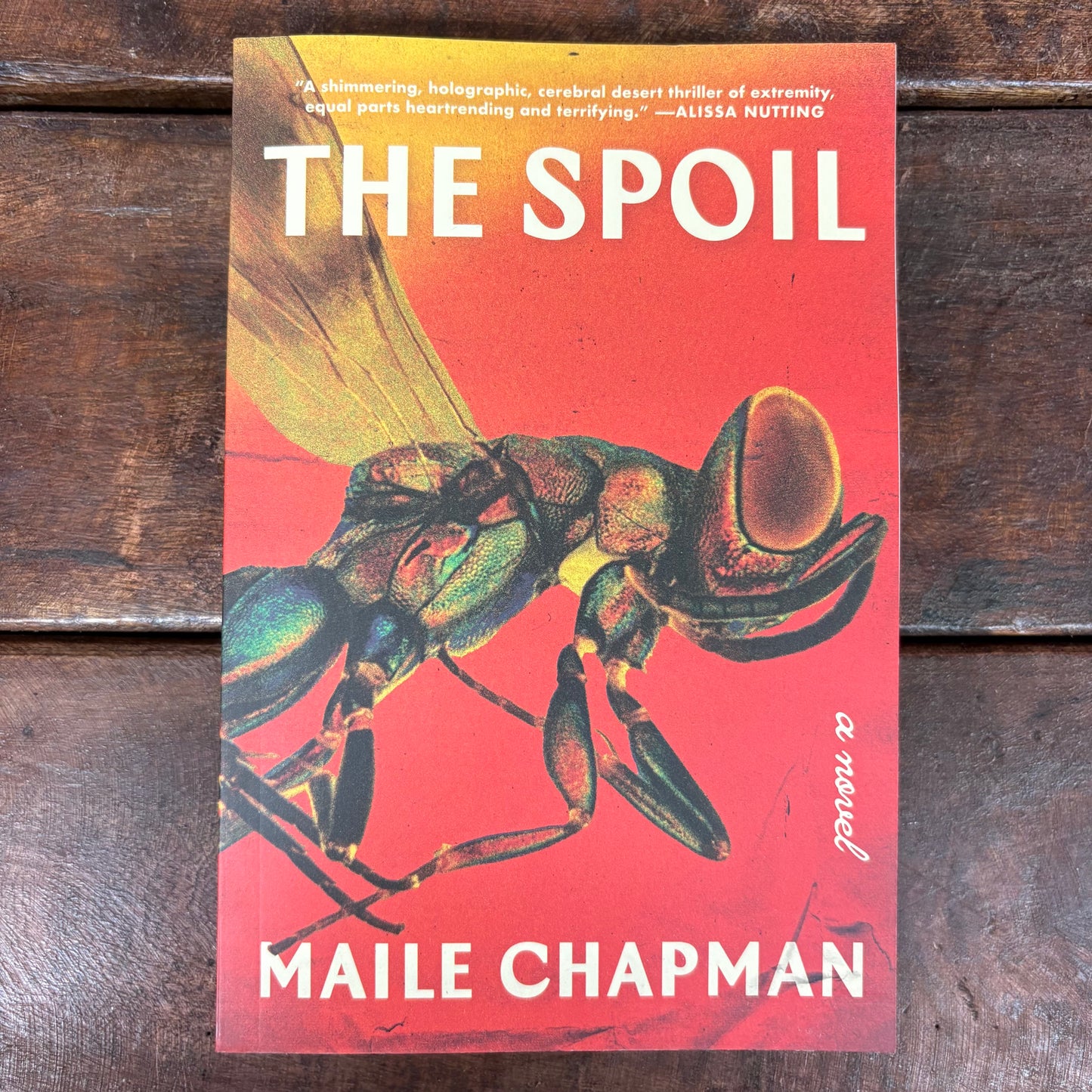 Spoil - Maile Chapman - Macmillan Publishers