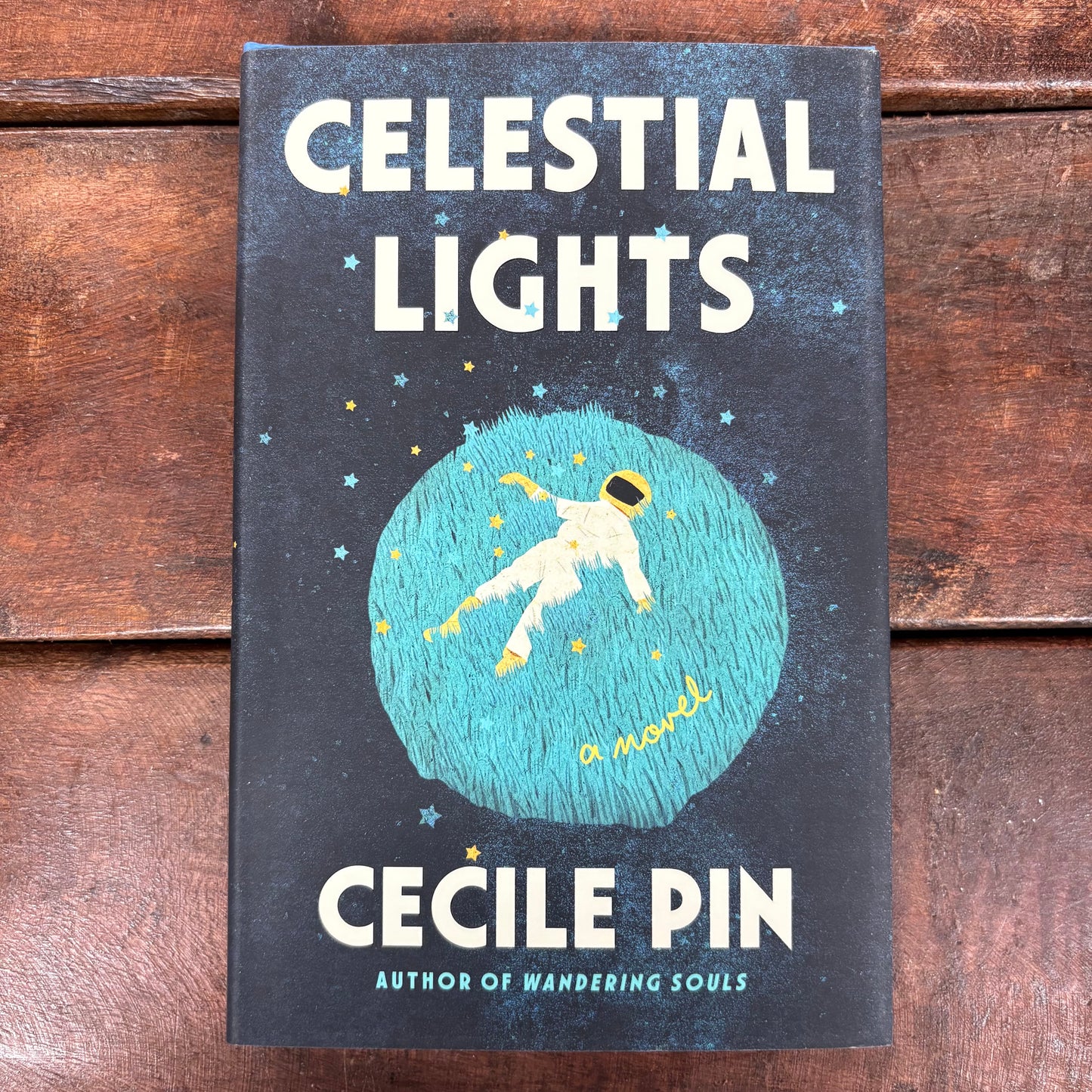Celestial Lights - Cecile Pin - Macmillan Publishers