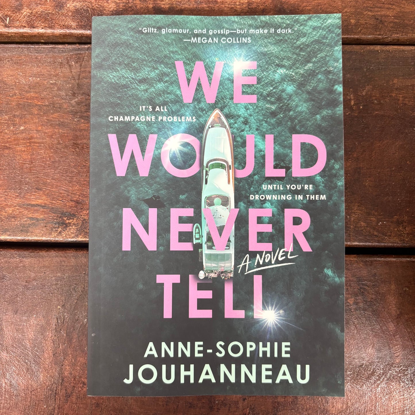 We Would Never Tell - Anne-Sophie Jouhanneau - Sourcebooks