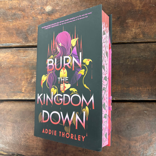 Burn The Kingdom Down - Addie Thorley - Sourcebooks
