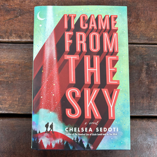 It Came From The Sky - Chelsea Sedoti - Sourcebooks