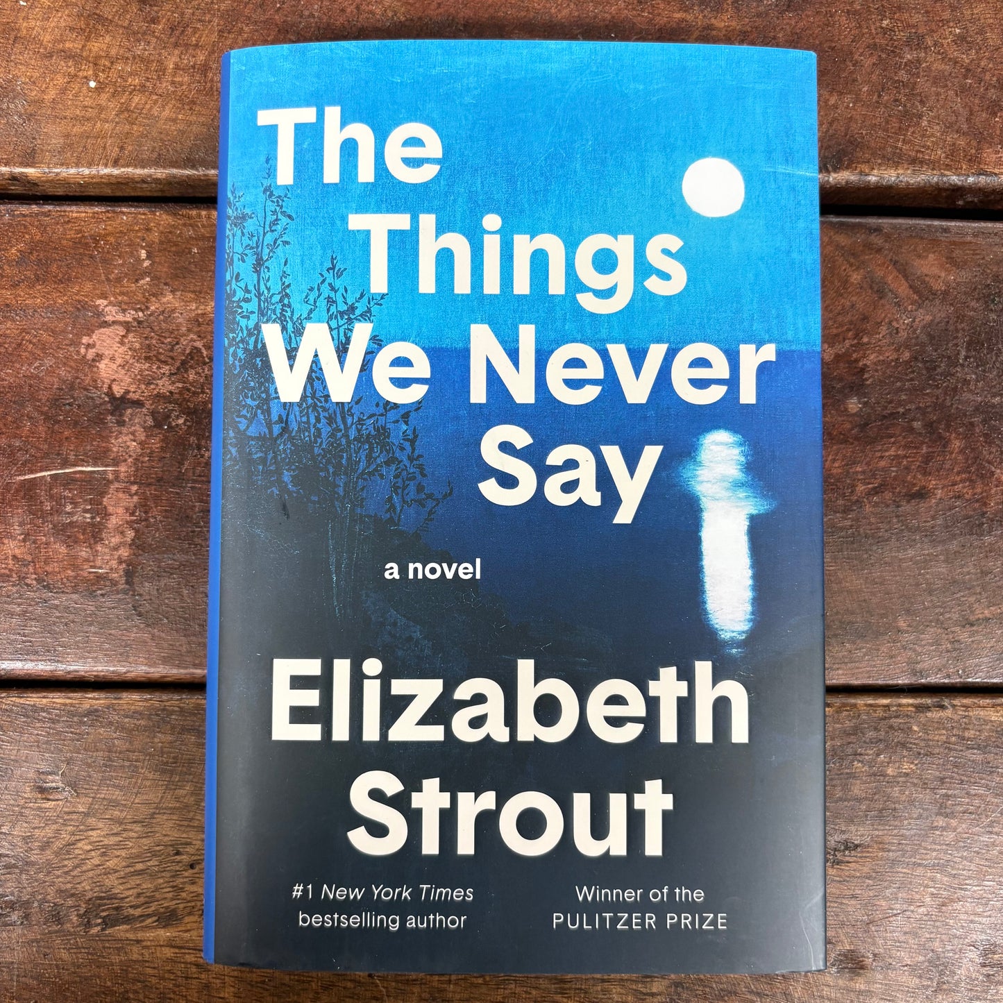 Things We Never Say - Elizabeth Strout - AZB