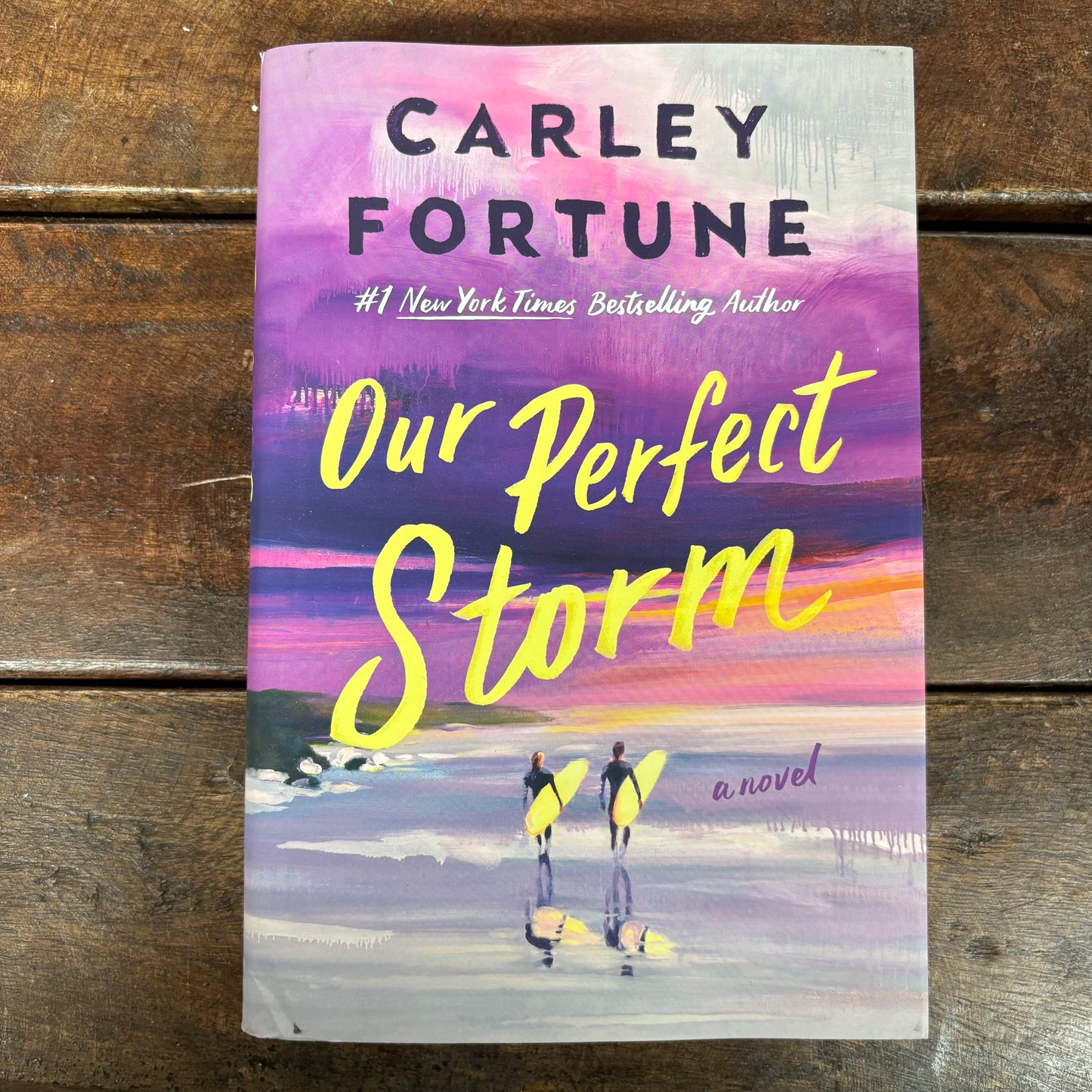 Our Perfect Storm - Carley Fortune - AZB