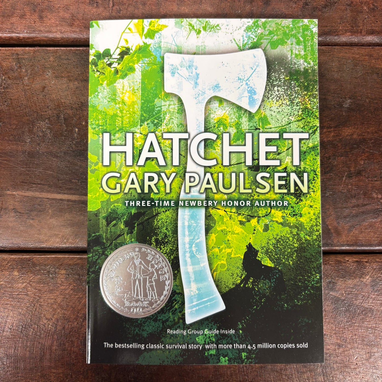 Hatchet - Gary Paulsen - Simon and Schuster