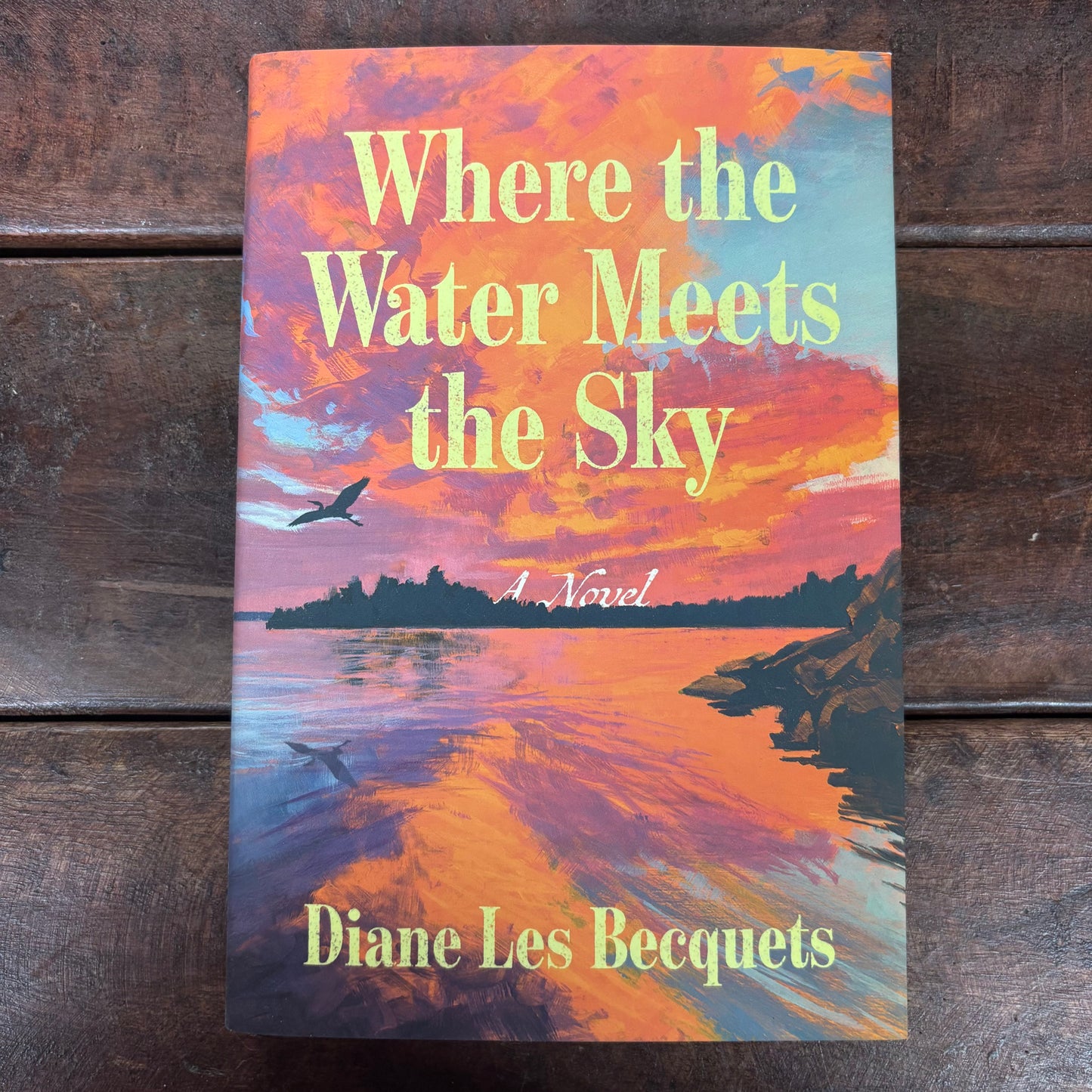 Where The Water Meets The Sky - Diane Les Becquets - Simon and Schuster
