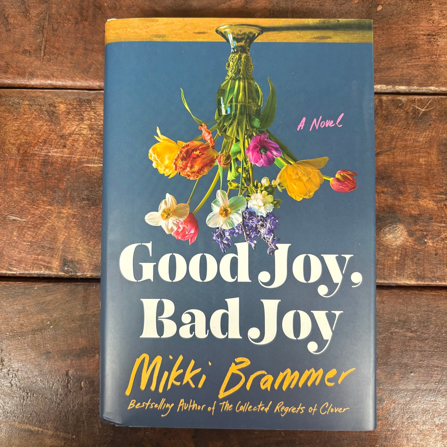 Good Joy, Bad Joy - Mikki Brammer - Macmillan Publishers
