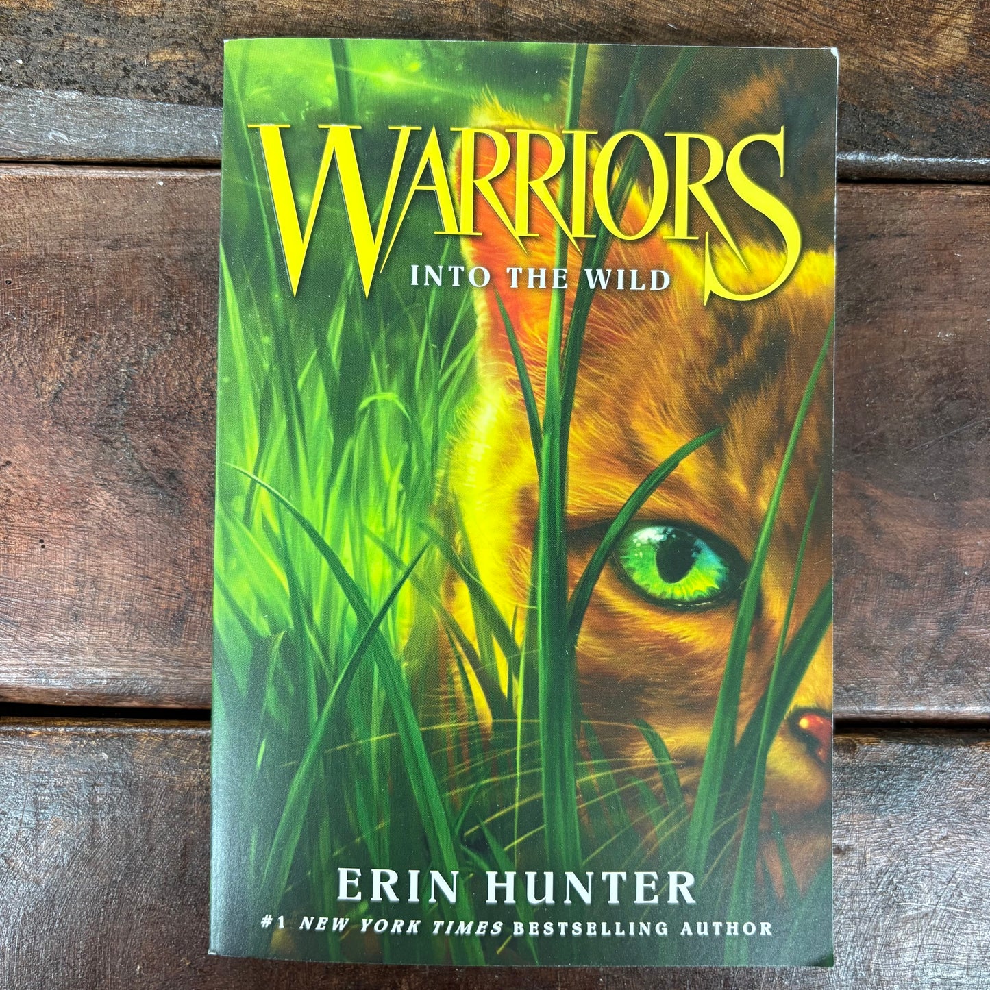 Warriors: Into The Wild - Erin Hunter - Harper Collins