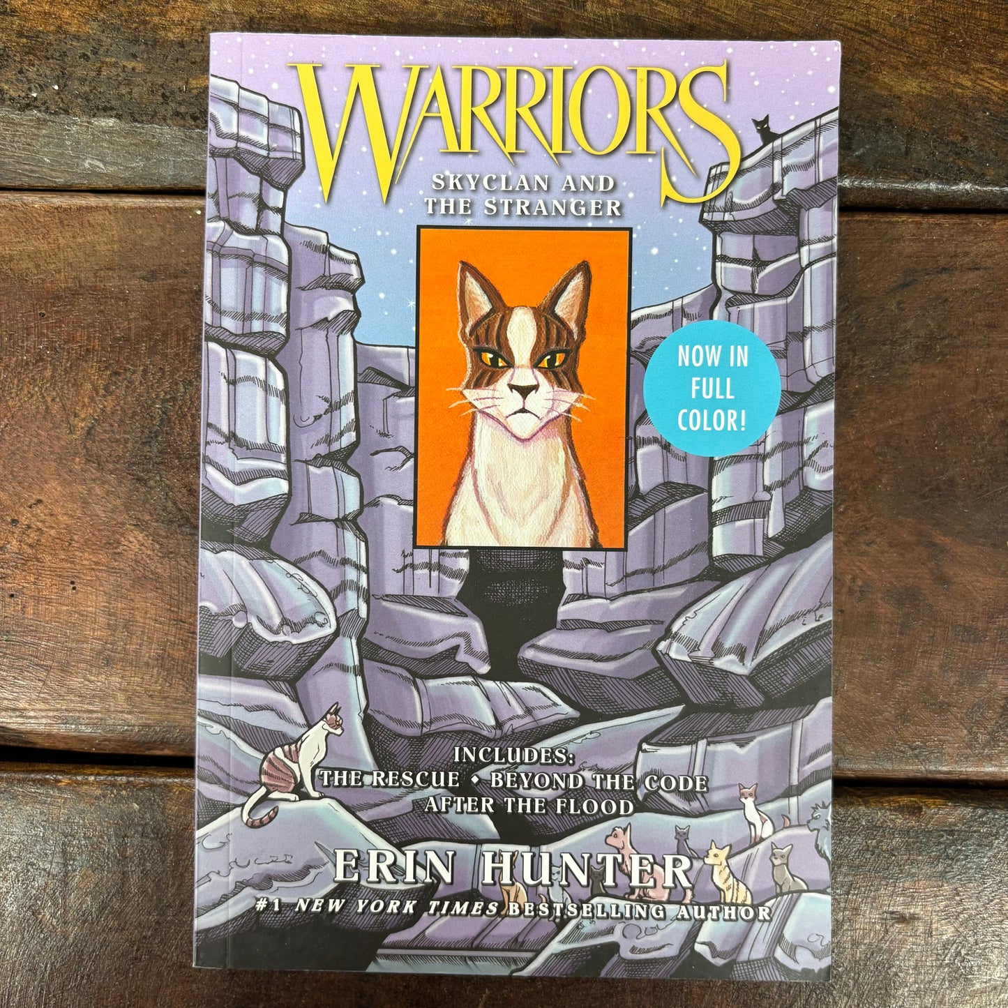 Warriors: Skyclan and The Stranger - Erin Hunter - Harper Collins