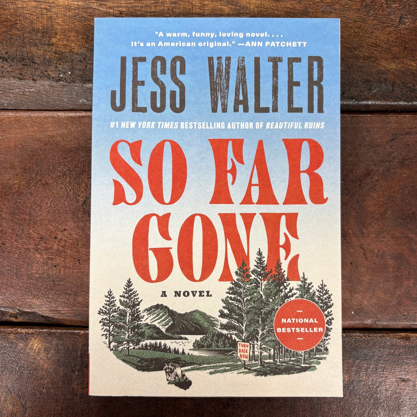 So Far Gone - Jess Walter - Harper Collins