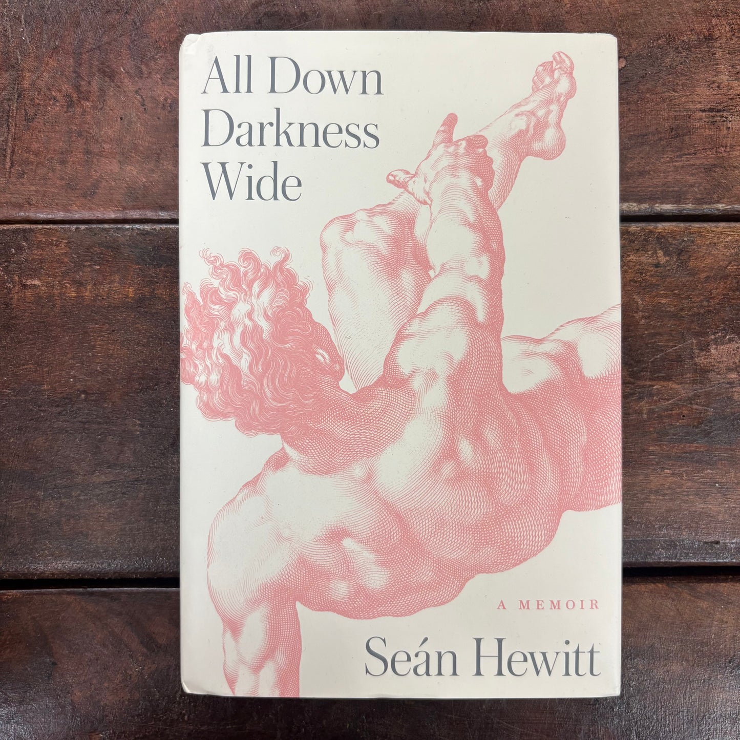 All Down Darkness Wide - Sean Hewitt - AZB