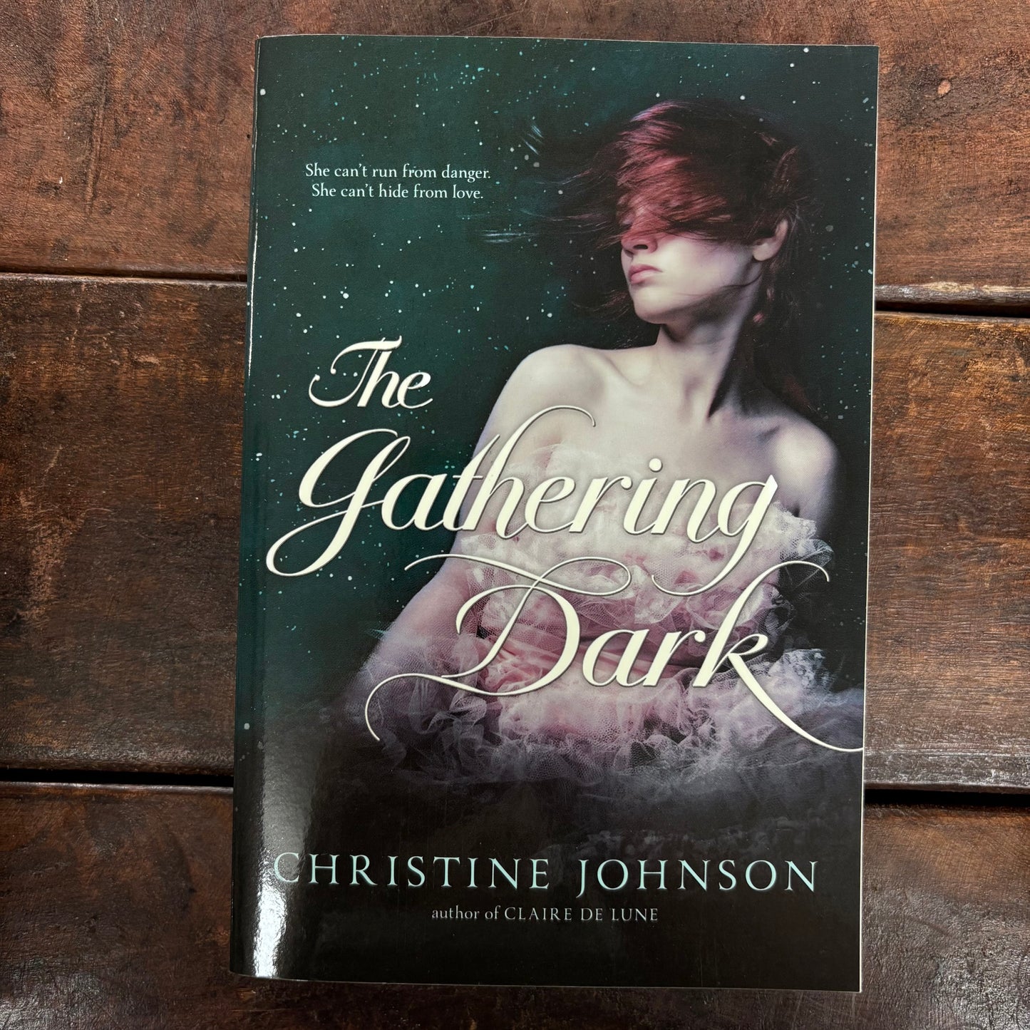 Gathering Dark - Christine Johnson - BKBY