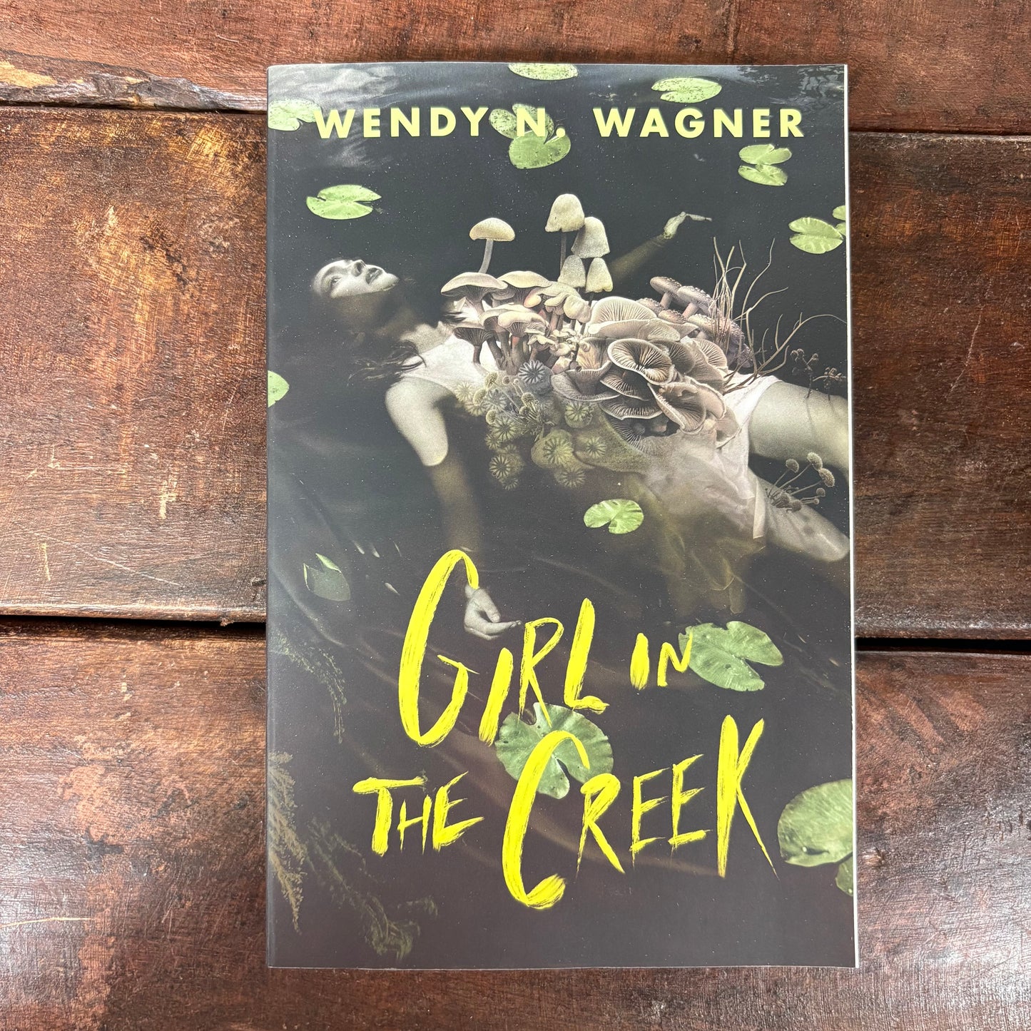 Girl In The Creek - Wendy N. Wagner - Macmillan Publishers