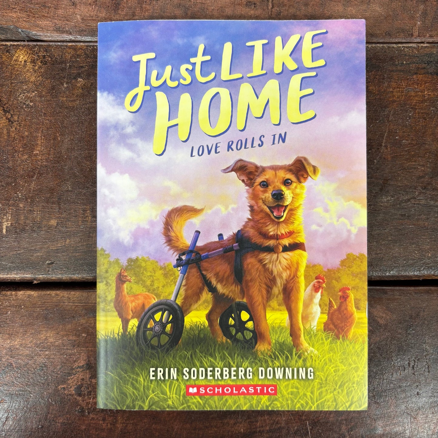 Just Like Home: Love Rolls In - Erin Soderberg Downing - Scholastic