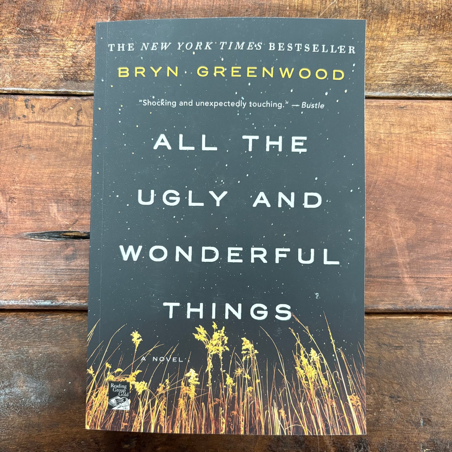 All The Ugly and Wonderful Things - Bryn Greenwood - AZB