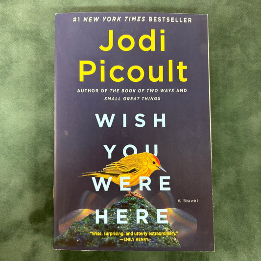 Wish You Were Here - Jodi Picoult - AZB