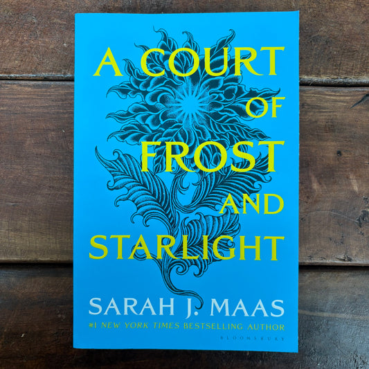 A Court Of Frost and Starlight - Sarah J. Maas - Macmillan Publishers