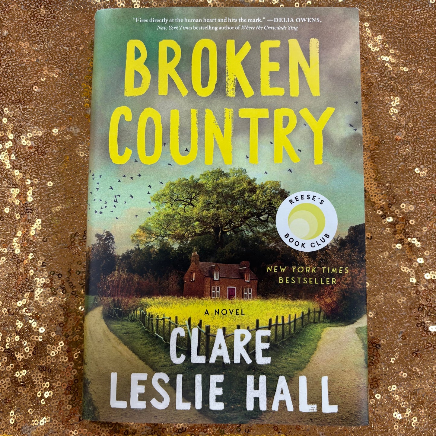 Broken Country - Clare Leslie Hall - AZB