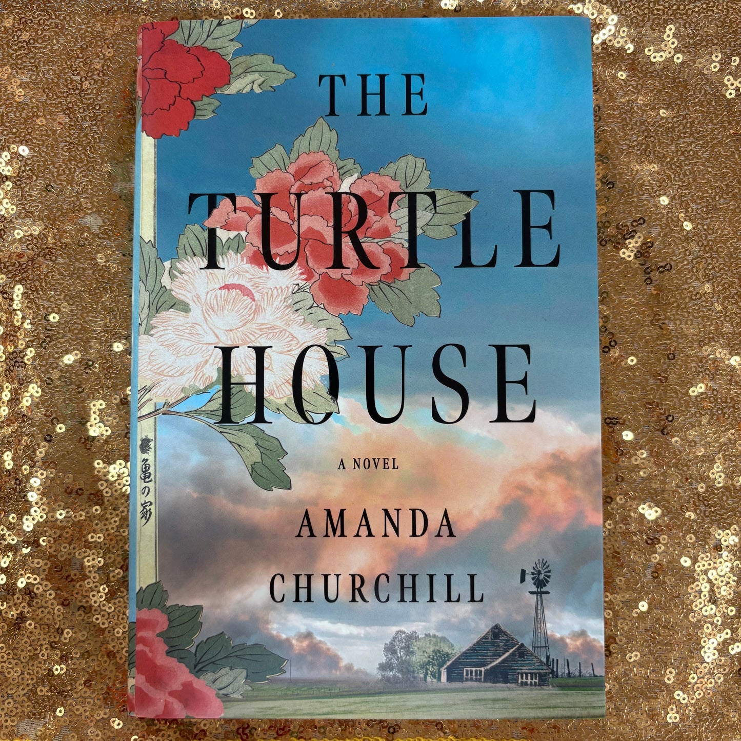 The Turtle House - Amanda Churchill - BKBY