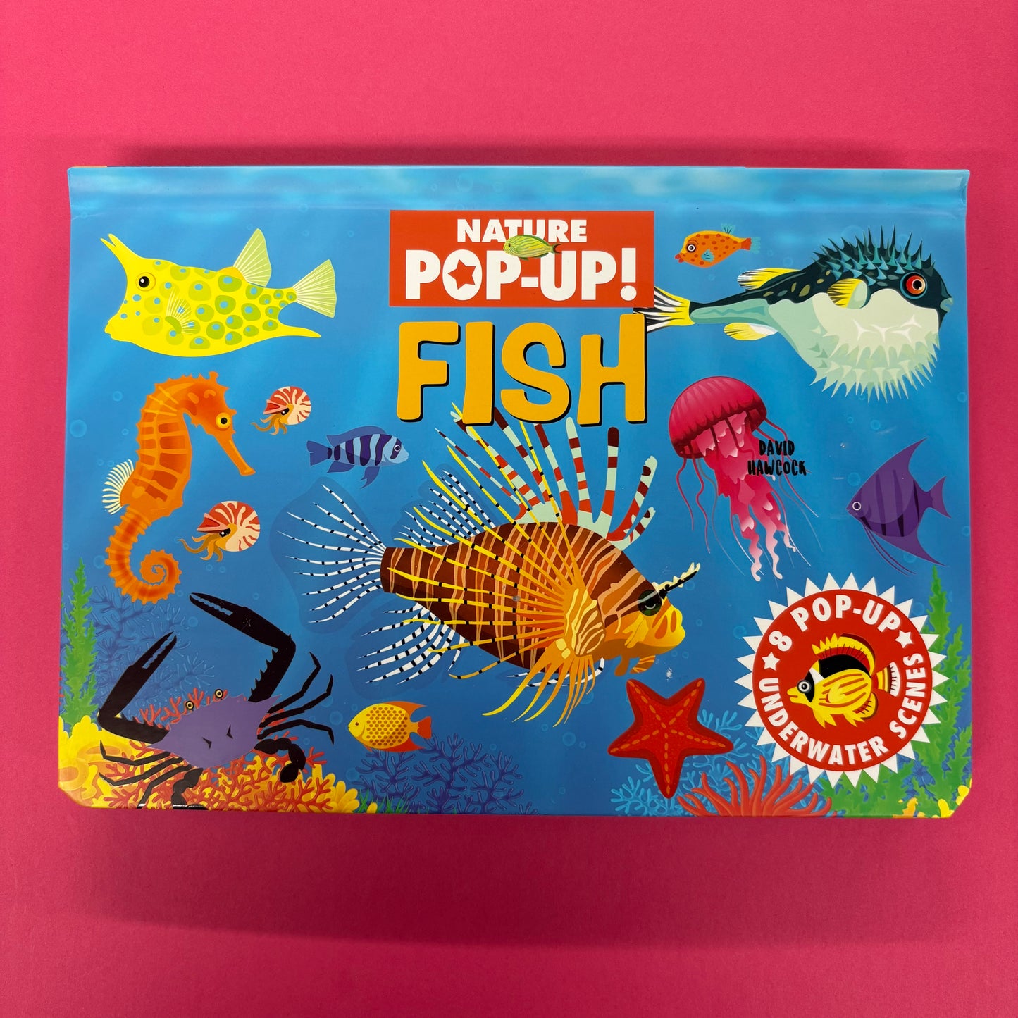 Nature Pop-Up: Fish - David Hawcock - BKBY