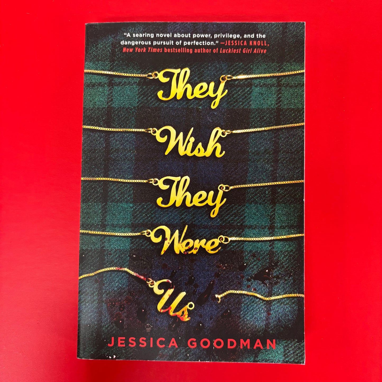 They Wish They Were Us - Jessica Goodman - AZB