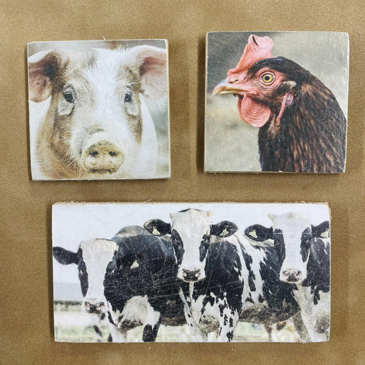 Magnet Set - Homestead - Primitives By Kathy